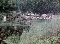 Beskrivelse: Beskrivelse: Beskrivelse: Beskrivelse: Beskrivelse: Beskrivelse: Beskrivelse: Samlebilde fra Røsvik.jpg